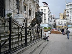 108 les lions toujours a l'heure place